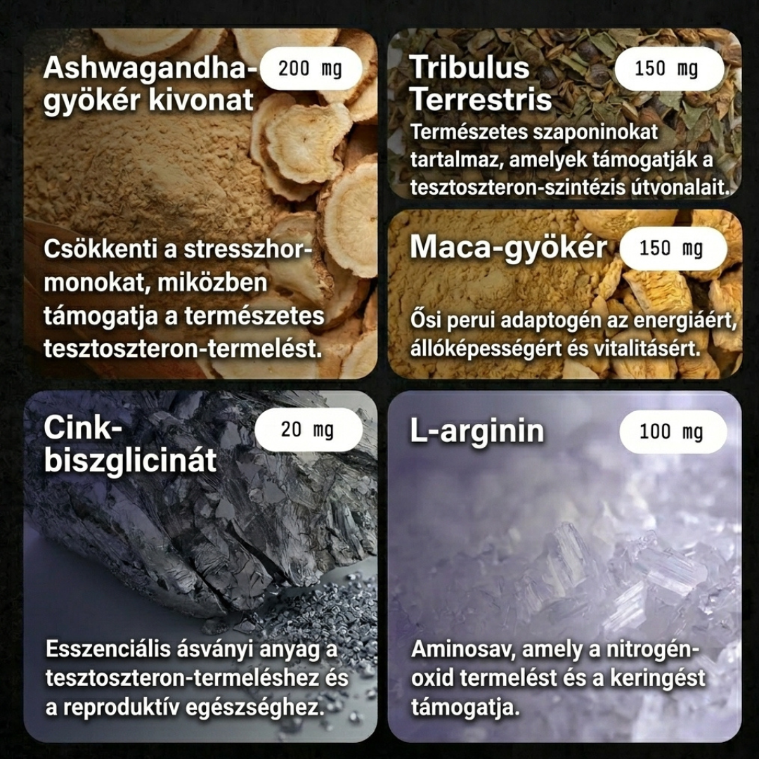 MARSMAN™ - Természetes tesztoszteron támogatás